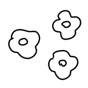 011