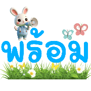 029