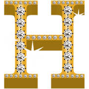 008