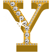 025