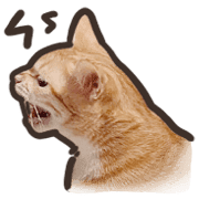 014