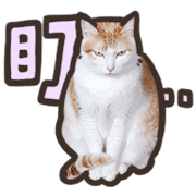 033