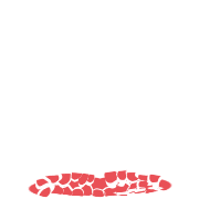 025