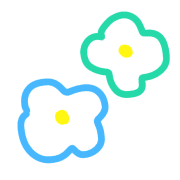 005