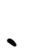 256
