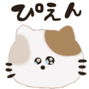 005