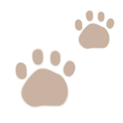 036