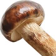 019