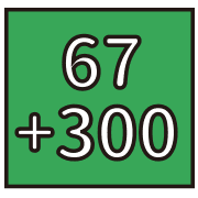 007