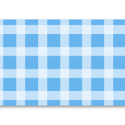 009