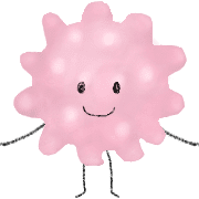005