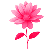 004