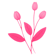 010