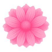 027