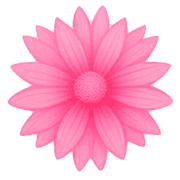 029