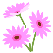 008