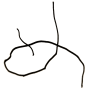 004