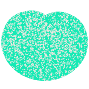 005