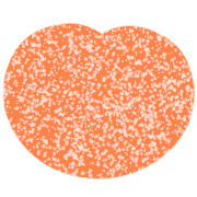 008
