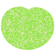 009