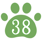 038
