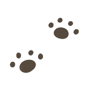 040