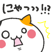 019