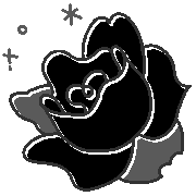 029