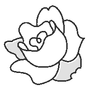 029