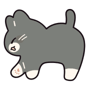 020