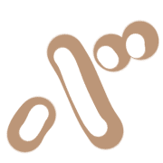 151