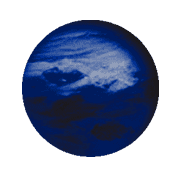 019