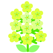 006