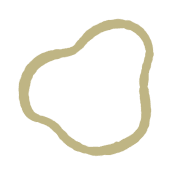 016