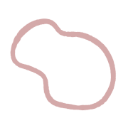 019