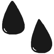 006