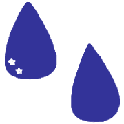 010