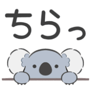 031