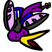 019