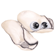 006