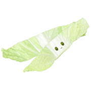 013