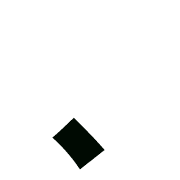 256