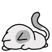 031