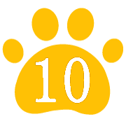 010