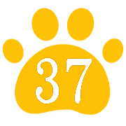 037