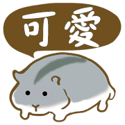 008