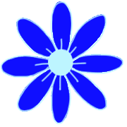 029