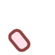 256