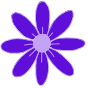 029