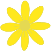 029